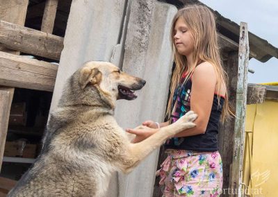 Ein junges Mädchen hält die Pfoten eine Hundes, der fröhlich an ihr hochspringt